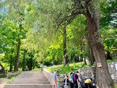 -阳台山自然风景区