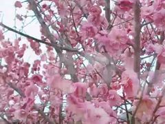 -南湖湿地公园