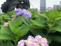 -星巴克(宁波老外滩店)