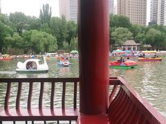 -西宁市人民公园(城西区)