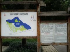 -新江湾城公园