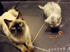 IMG_9141_副本-吱咖啡西式简餐