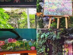 -正佳雨林生态植物园