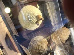 -红宝石·鲜奶小方·海派西点房(联洋店)