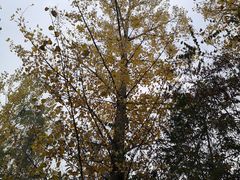 -黄河三峡风景名胜区