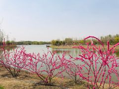 -东郊湿地公园