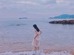 -枸杞岛