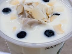 -茉酸奶(高科山姆店)