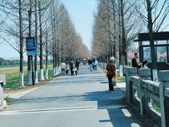 -嘉北郊野公园