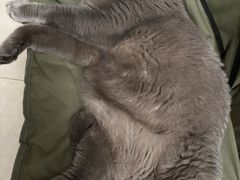 -爱康国宾体检中心(北京航天桥光耀东方分院)