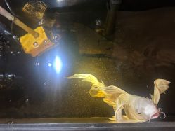 -HEY!TATTOO·嘿刺青