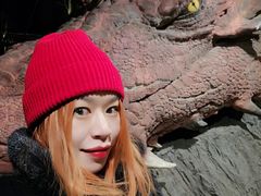 -疯克大象美式烤肉餐厅