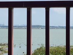 -七的湖·晚芳亭·阳澄湖农家菜·大闸蟹(莲花岛店)