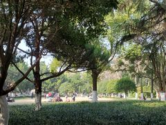 -沙市市中山公园