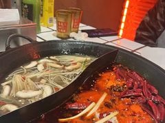 -朱光玉火锅馆(正弘城店)