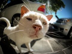 -望湘园·洞庭渔宴(永旺店)