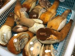 -港畔赶海蒸汽海鲜烧烤自助(仙螺岛店)