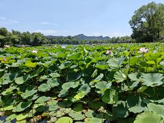 -承德避暑山庄景区
