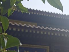 -西安大兴善寺