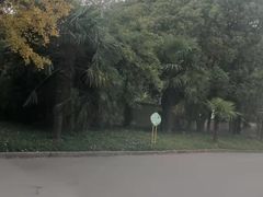 -胜华驾校·小猫学车(银都店)