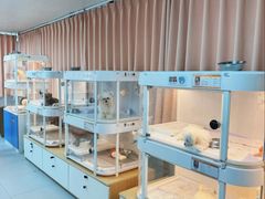 -翊宠yipet猫狗购宠庄园犬舍•猫舍