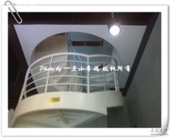 店内楼梯-丛林形象
