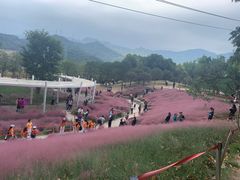 -牛岗山公园