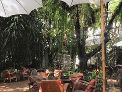 -Fern Forest Cafe
