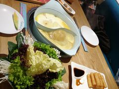-青瓷火锅料理(西单大悦城店)