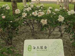 -仁和公园(顺义区)
