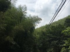 -众神白水涧景区
