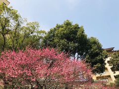 -千岛湖希尔顿休闲艇俱乐部