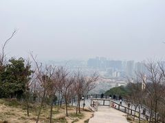 -峙山公园