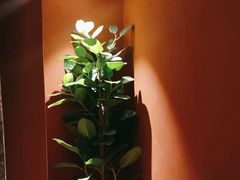 -上荔晶·土菜馆(古田店)