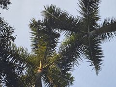 -聚龙山公园