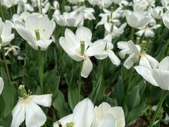 -玄武湖景区-情侣园游乐场