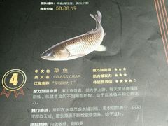 -鱼酷活鱼烤鱼(恒隆广场店)