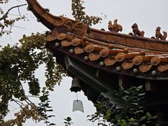 -大悲禅寺