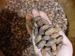 -歌斐颂巧克力小镇