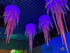 -太平洋海底世界