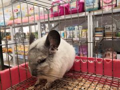 -凯德广场(武胜路店)