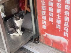 -钱记包子糕团