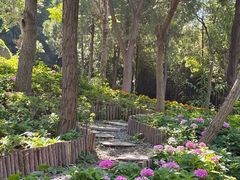 -沂蒙云瀑洞天景区