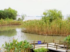 -吴淞炮台湾湿地森林公园烧烤区