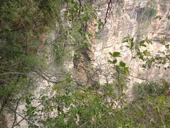 -龙洞风景区-藏龙涧