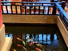 -龙悦湾酒家·八阵鱼生·渔人码头店