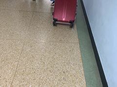 -中国人民解放军空军特色医学中心(空军总医院)