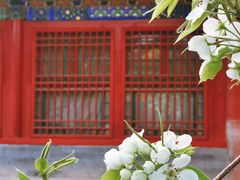-故宫博物院(故宫)
