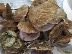 -雅逸居海鲜小厨