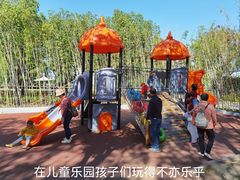 -新江湾城公园